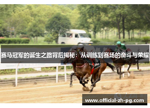 赛马冠军的诞生之路背后揭秘:从训练到赛场的奋斗与荣耀 赛马冠军的诞生之路背后揭秘:从训练到赛场的奋斗与荣耀