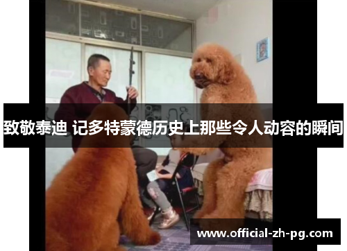 致敬泰迪 记多特蒙德历史上那些令人动容的瞬间