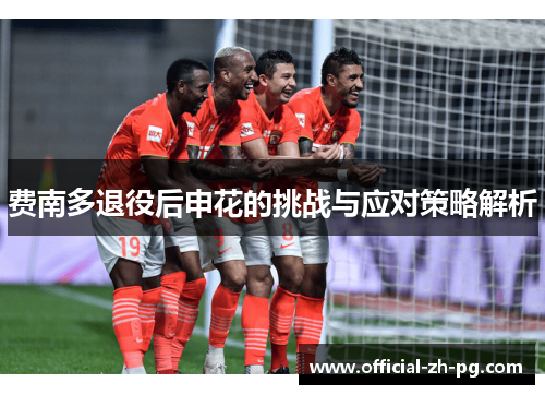 费南多退役后申花的挑战与应对策略解析 费南多退役后申花的挑战与应对策略解析
