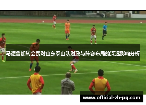 马德鲁加转会费对山东泰山队财政与阵容布局的深远影响分析 马德鲁加转会费对山东泰山队财政与阵容布局的深远影响分析