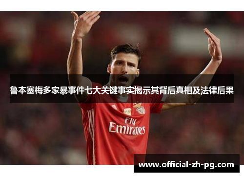 鲁本塞梅多家暴事件七大关键事实揭示其背后真相及法律后果