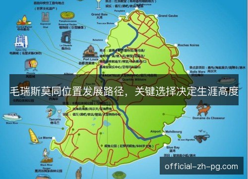 毛瑞斯莫同位置发展路径，关键选择决定生涯高度